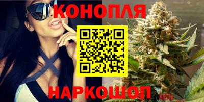Альфа ПВП Гатчина