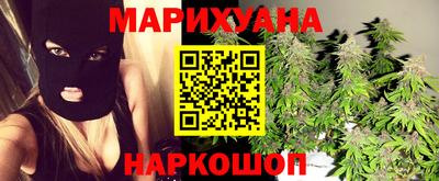 Альфа ПВП Гатчина